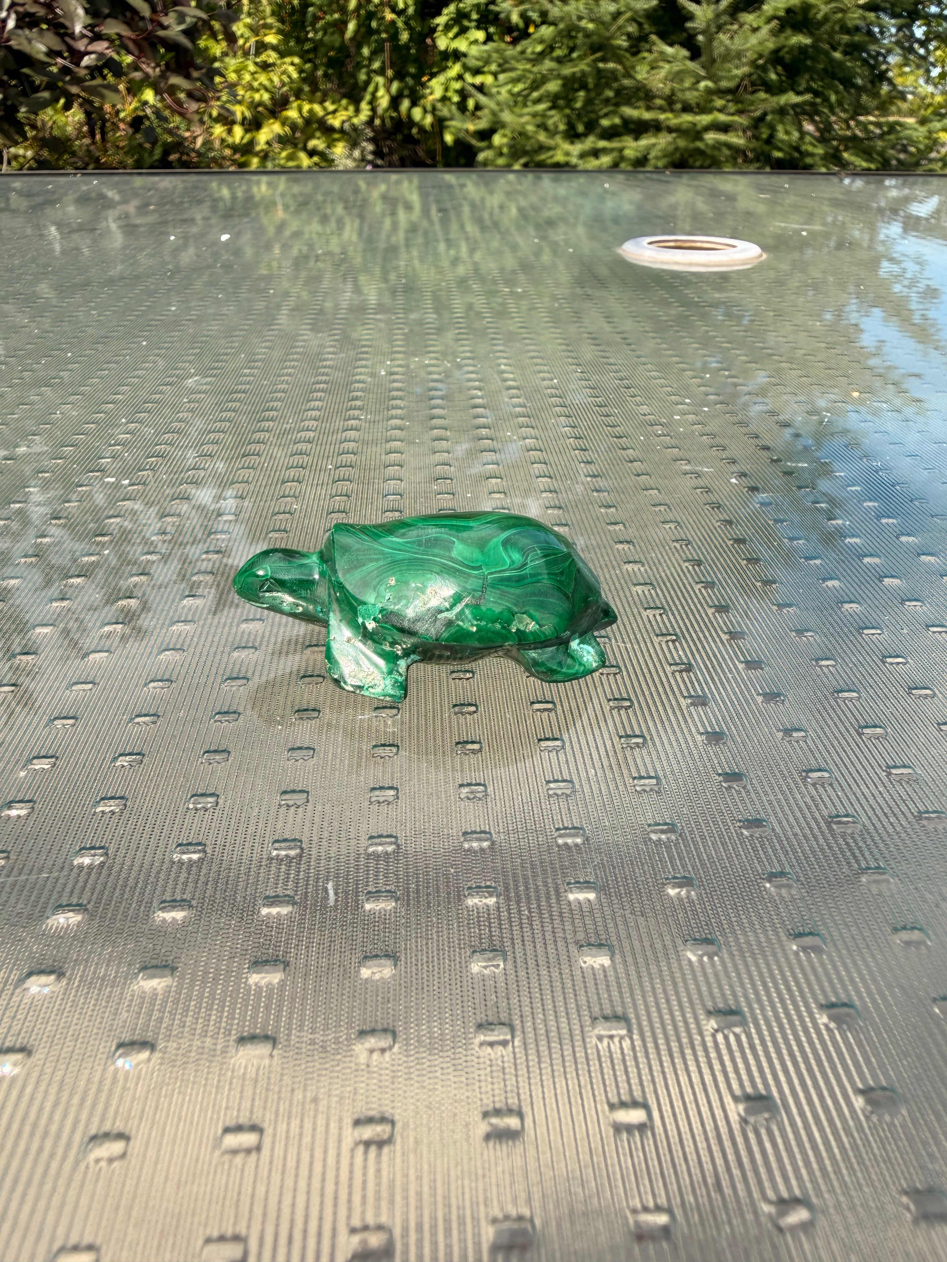 Malachite Turtle
