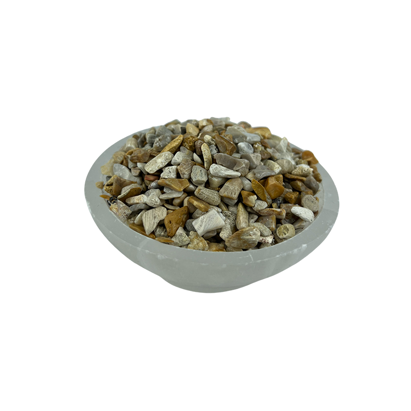 Fossil Coral Tumbled Chips - 5-15 mm