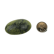 Serpentine Palm Stone - 2.5 inch