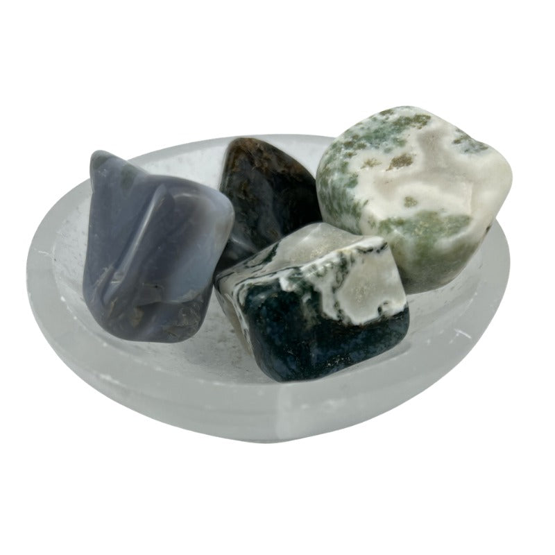 Moss Agate Tumbled Stone - 1.2-1.8 inches