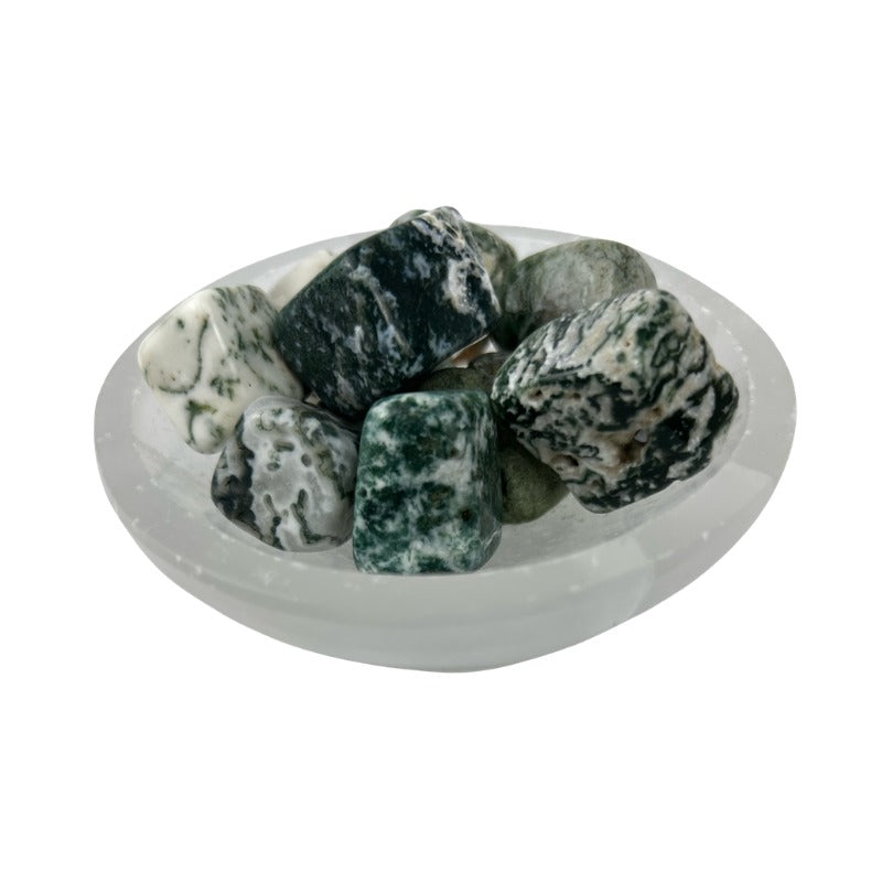 Moss Agate Tumbled Stone - 20-30 mm