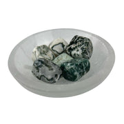 Moss Agate Tumbled Stone - 20-30 mm