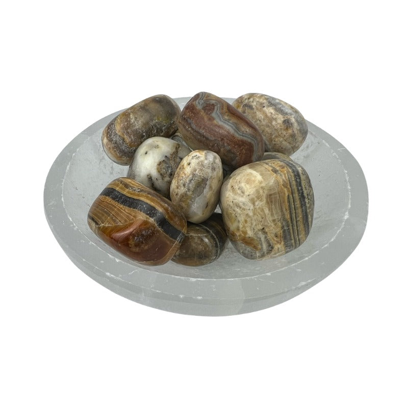 Brown Zebra Calcite Tumbled Stone - 20-35 mm