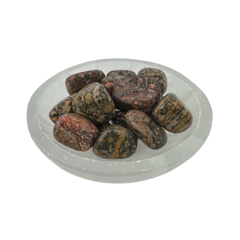 Leopard Skin Jasper Tumbled Stone - 15-30 mm