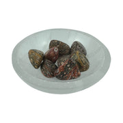Leopard Skin Jasper Tumbled Stone - 15-30 mm
