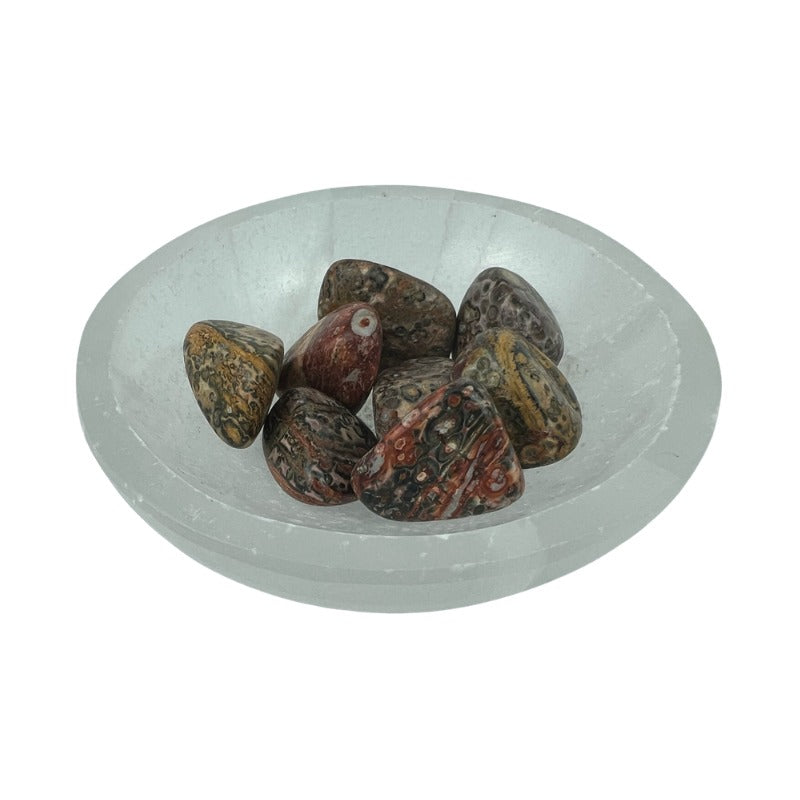 Leopard Skin Jasper Tumbled Stone - 15-30 mm