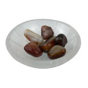 Red Agate Tumbled Stone - 20-40 mm