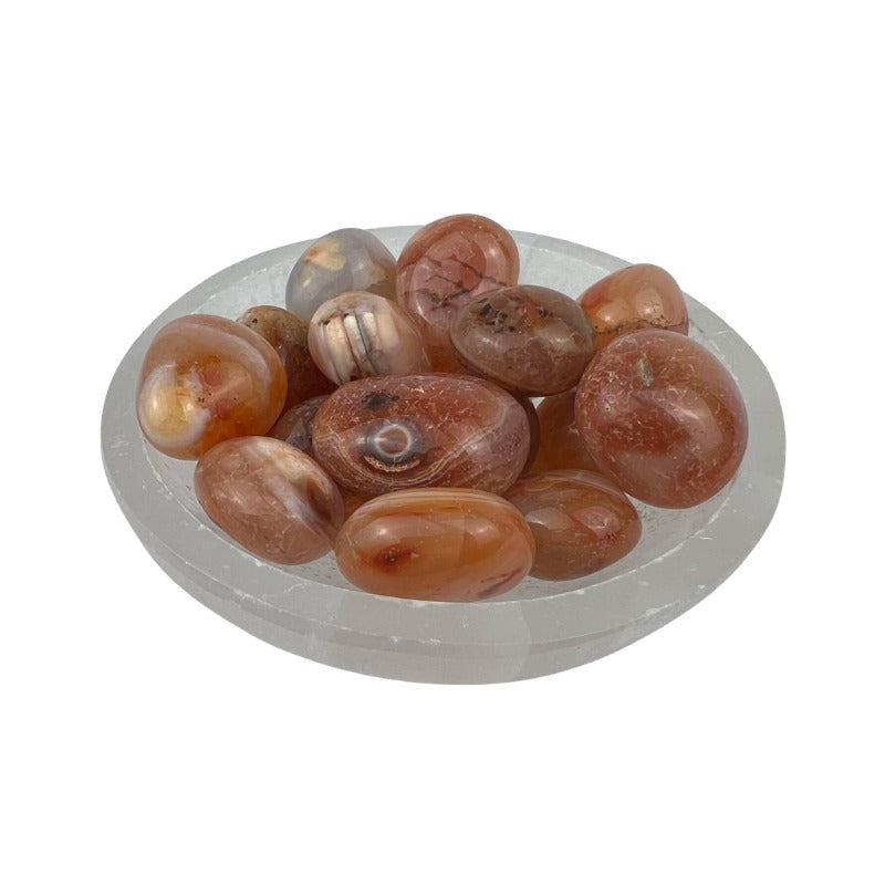 Banded Carnelian Tumbled Stone - 20-30 mm
