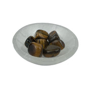 Tiger Eye Tumbled Stone - 20-35 mm