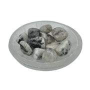 Rainbow Moonstone Tumbled Stone - 15-30 mm