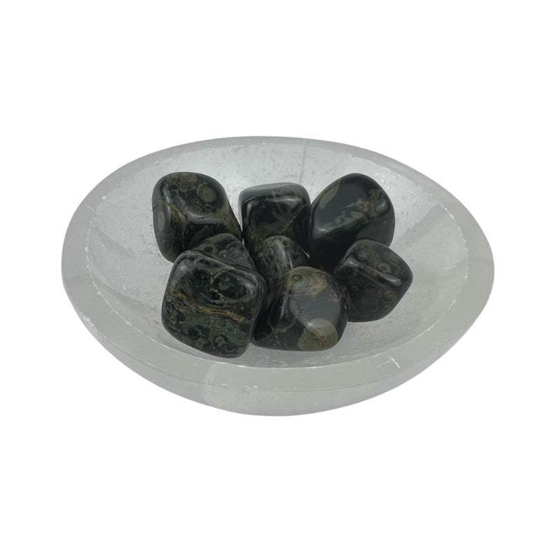 Kambaba Jasper Tumbled Stone - 20-30 mm