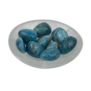 Apatite Tumbled Stone - 20-35 mm