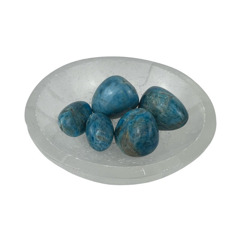 Apatite Tumbled Stone - 20-35 mm
