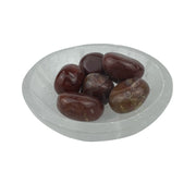 Red Petrified Wood Tumbled Stone - 20-35 mm