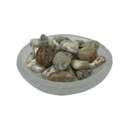 White Opal Tumbled Stone - 15-30 mm