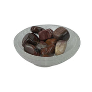 Petrified Wood Tumbled Stone - 15-35 mm