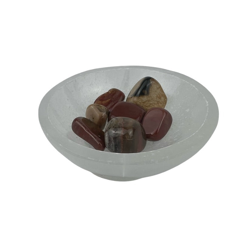 Petrified Wood Tumbled Stone - 15-35 mm