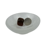 Petrified Wood Tumbled Stone - 15-35 mm