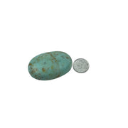 Chrysoprase Palm Stone - 2.5-2.75 inch