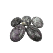 Garnet in Astrophyllite Palm Stone - 2.25-2.5 inch