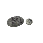 Garnet in Astrophyllite Palm Stone - 2.25-2.5 inch