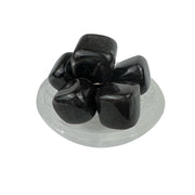 Lodestone in Orgone Tumbled Stone - 25-30 mm