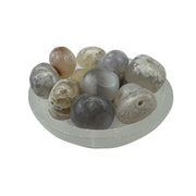Opalized Petrified Wood Tumbled Stone - 15-30 mm