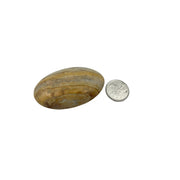 Desert Jasper Palm Stone - 2.5-3.0 inch