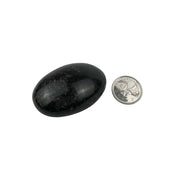 Garnet in Biotite Palm Stone - 2.25-2.5 inch