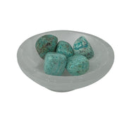 Chrysocolla Tumbled Stone - 20-35 mm