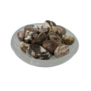 Red Zebra Jasper Tumbled Stone - 20-30 mm