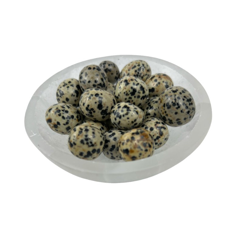 Dalmatian Jasper Tumbled Stone - 15-25 mm