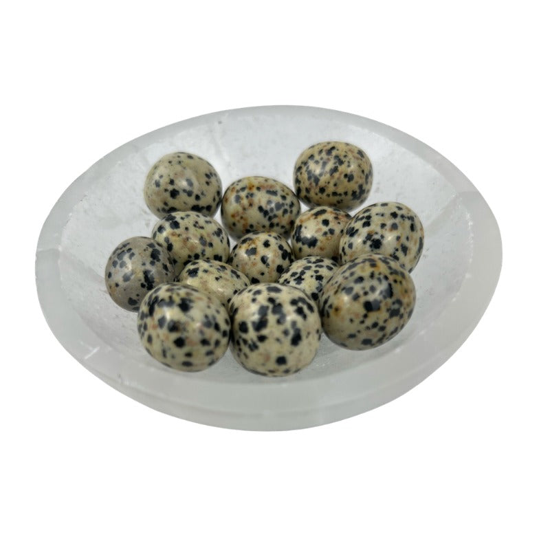 Dalmatian Jasper Tumbled Stone - 15-25 mm