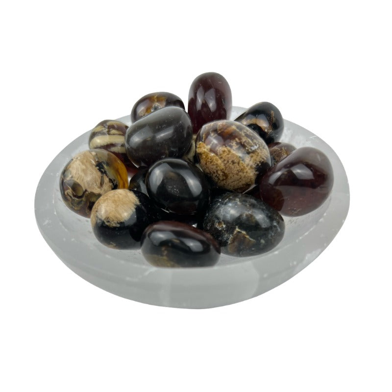 Zebra Amber Tumbled Stone - 20-45 mm