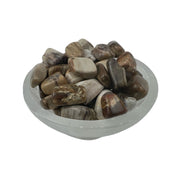 Petrified Wood Tumbled Stone - 10-20 mm