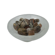 Petrified Wood Tumbled Stone - 10-20 mm
