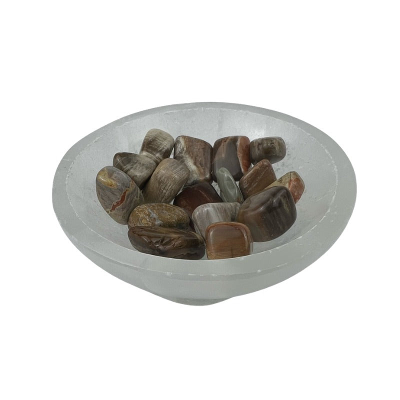 Petrified Wood Tumbled Stone - 10-20 mm