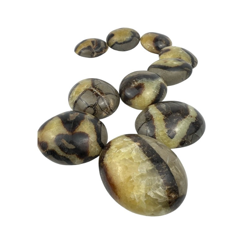 Septarian Palm Stone - 1.75-2.25 inch