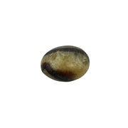 Septarian Palm Stone - 1.75-2.25 inch
