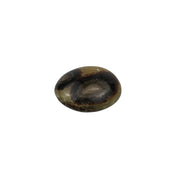 Septarian Palm Stone - 1.75-2.25 inch