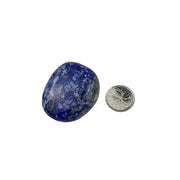 Lapis Lazuli Pebble - 1.75-2.25 inch