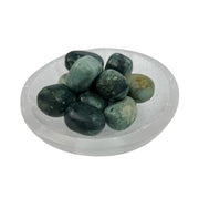 Green Fossil Tumbled Stone - 20-30 mm
