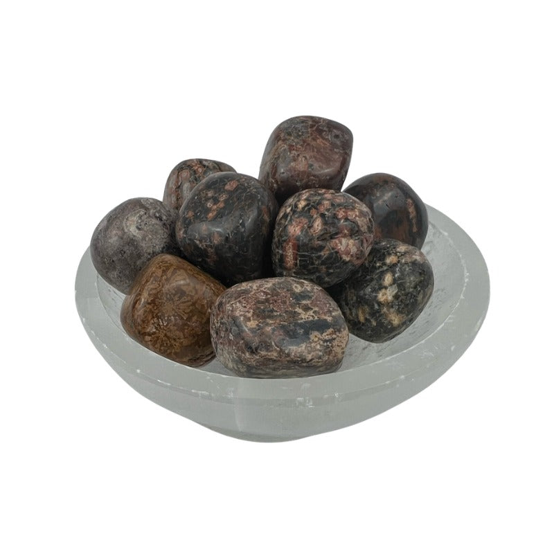 Leopard Skin Jasper Tumbled Stone - 20-30 mm