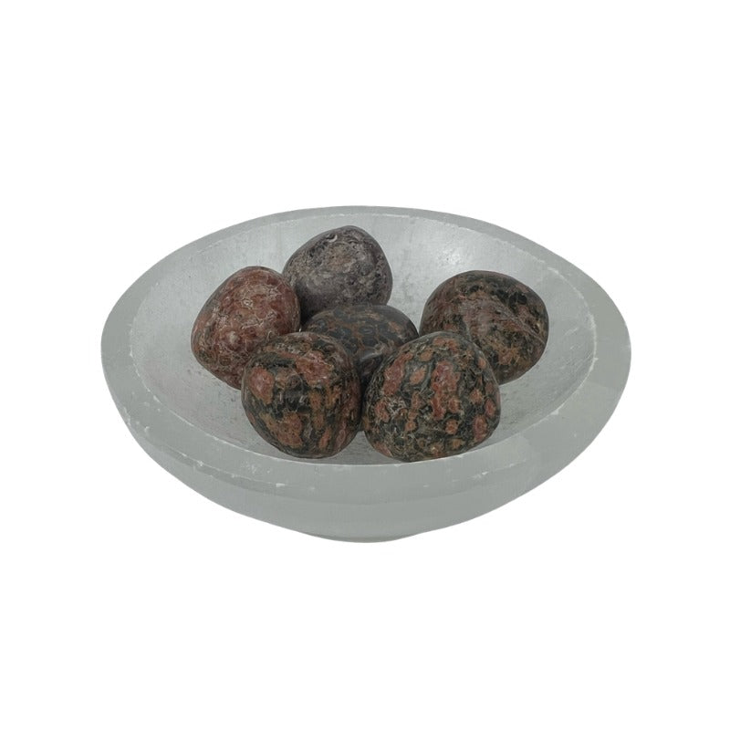Leopard Skin Jasper Tumbled Stone - 20-30 mm