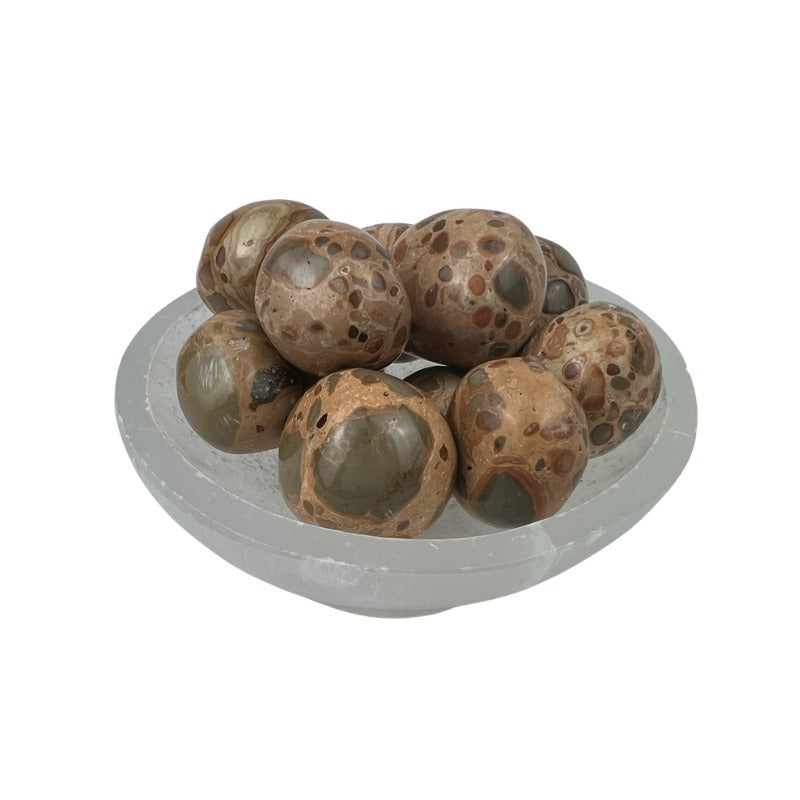 Leopardite Tumbled Stone - 20-30 mm