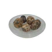 Leopardite Tumbled Stone - 20-30 mm