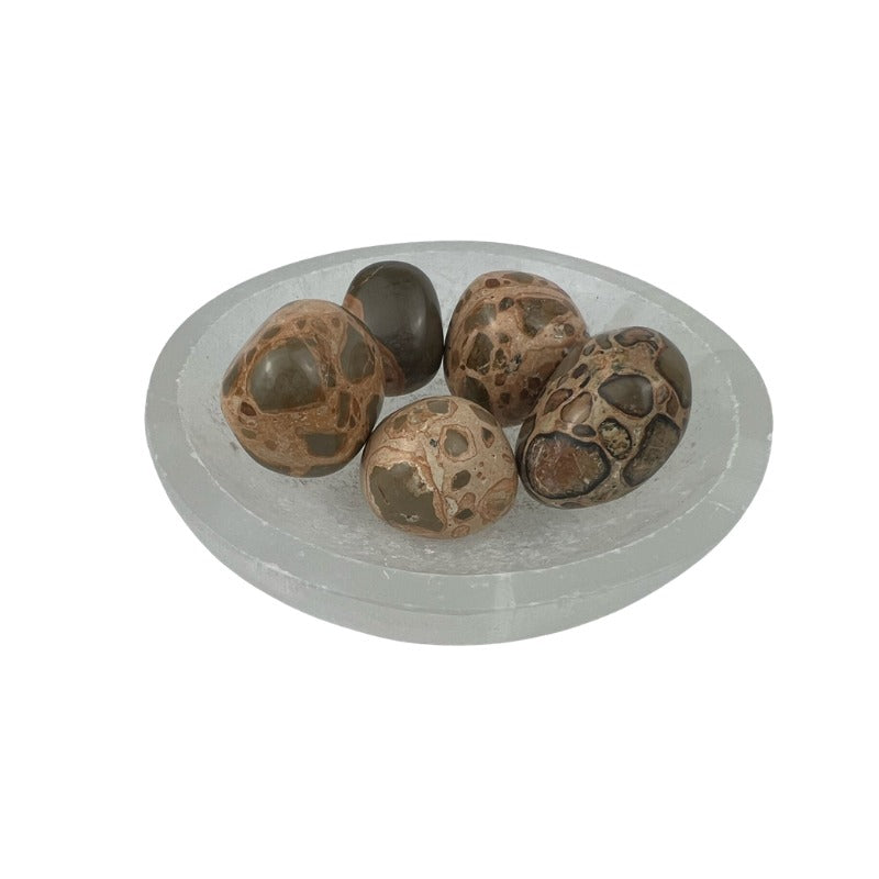 Leopardite Tumbled Stone - 20-30 mm