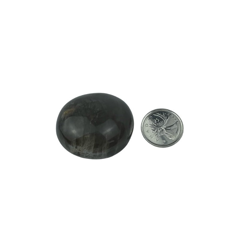 Black Moonstone Palm Stone - 1.5-2.75 inch
