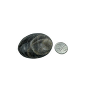 Black Moonstone Palm Stone - 1.5-2.75 inch