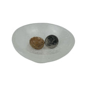 Palm Root Fossil Tumbled Stone - 20-35 mm
